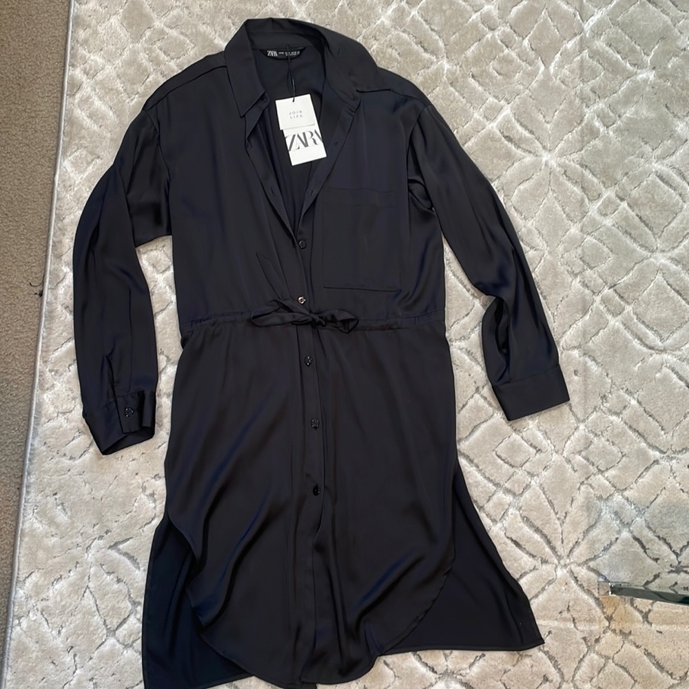 Zara dress